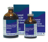 hexasol_solucao_injetavel