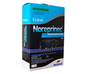noreprinec_uncao_cutanea