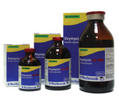 OxymicinLARGB